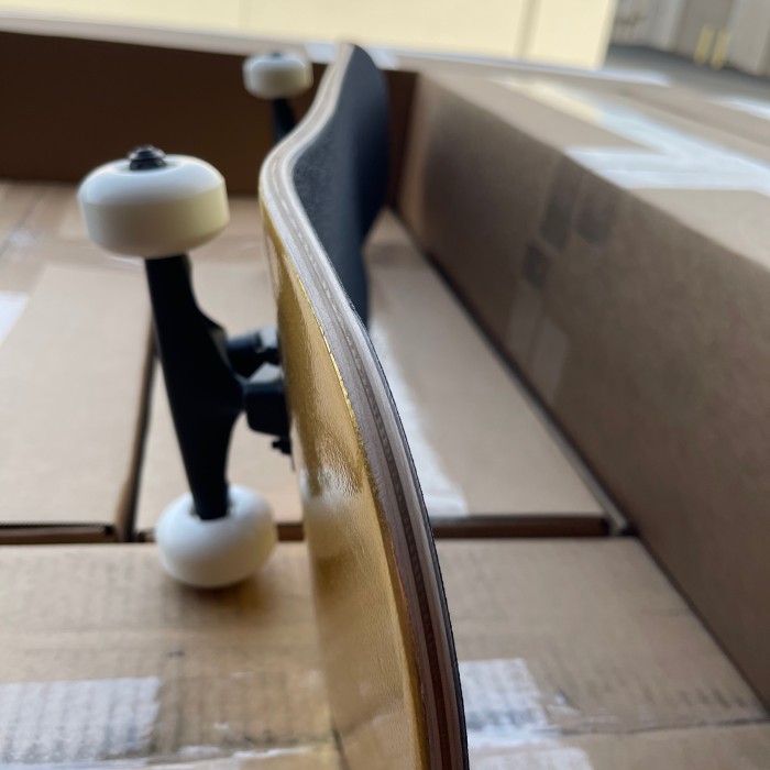 Complete Blank Skateboard – Cruiser Setup